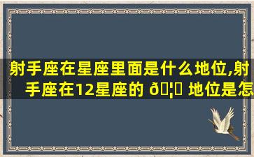 射手座在星座里面是什么地位,射手座在12星座的 🦟 地位是怎样的嘞
